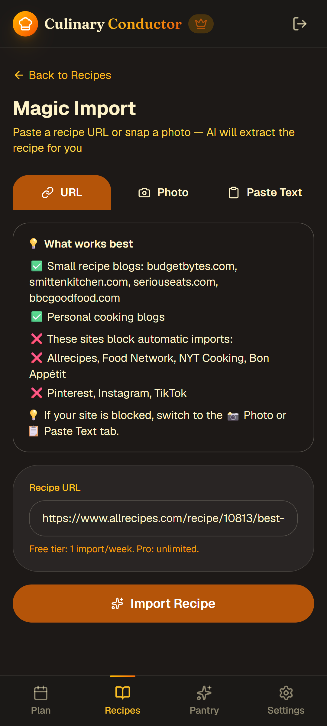 Magic Import screen with a recipe URL in the input field