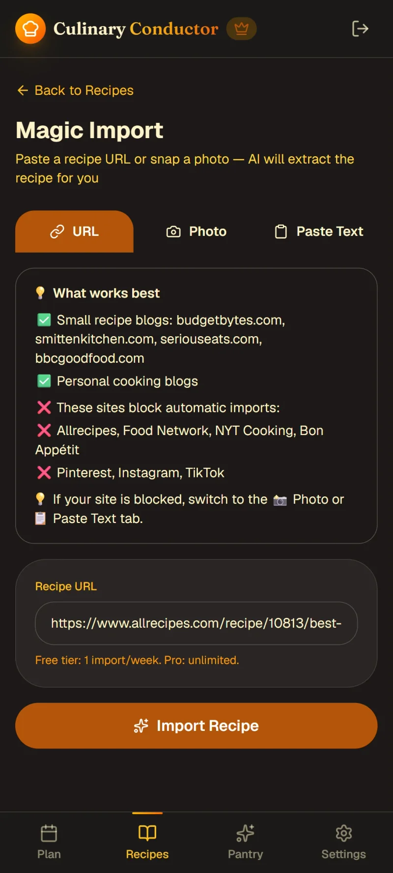 Magic Import screen with a recipe URL in the input field
